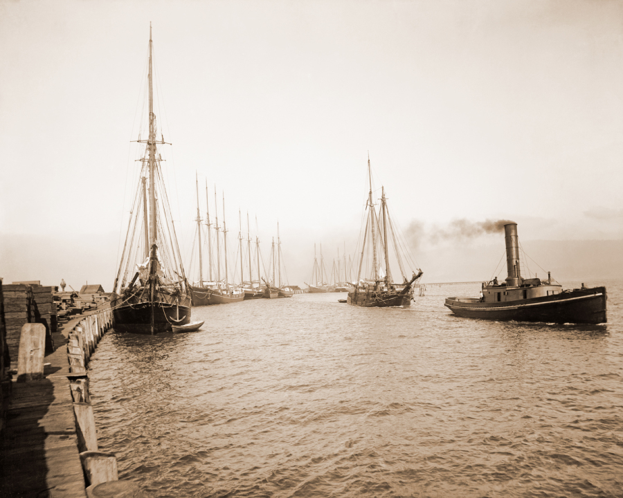 The Arcata Wharf claims California's first railroad (1855) which extended from the southwest corner of the Plaza out two miles to the Bay. The rail was first made of wood with a horse drawn car, then later becoming iron and steam powered.